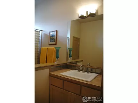 4614 Pompano Dr, Windsor, CO 80550 photo 13