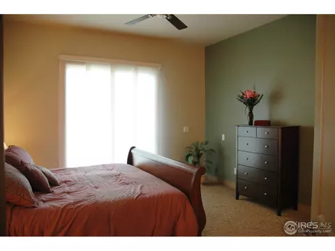 4614 Pompano Dr, Windsor, CO 80550 photo 9
