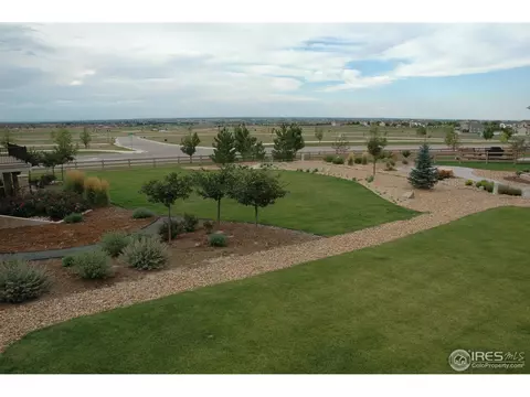 4614 Pompano Dr, Windsor, CO 80550 photo 18