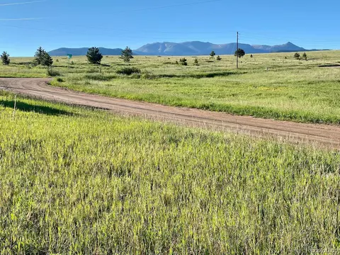 90 Golden Grain Ln, Divide, CO 80814