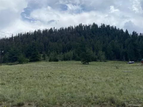 1054 Lariat Loop, Hartsel, CO 80449 photo 4