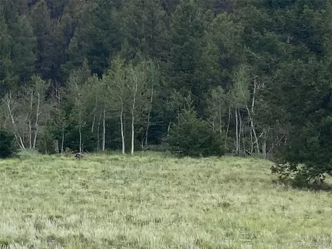 1054 Lariat Loop, Hartsel, CO 80449 photo 2