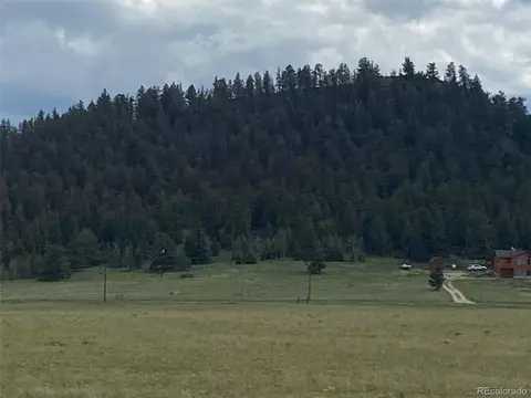 1054 Lariat Loop, Hartsel, CO 80449 photo 3