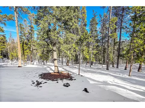 11097 S Wallace Ave, Conifer, CO 80433 photo 26