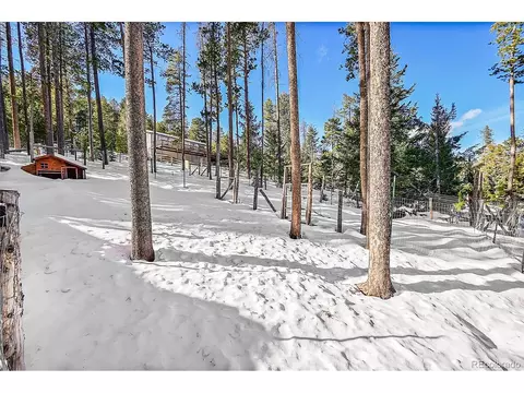 11097 S Wallace Ave, Conifer, CO 80433 photo 28