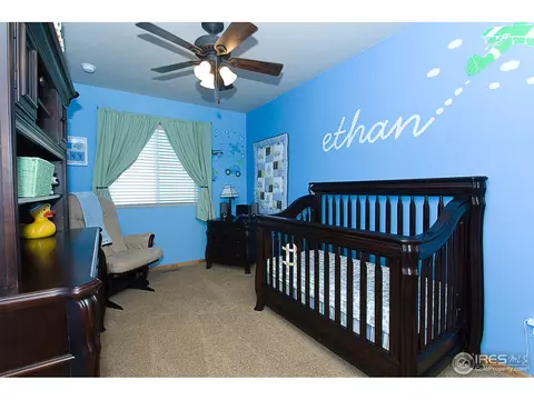 871 Durum St, Windsor, CO 80550 photo 12