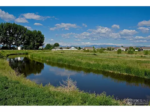 871 Durum St, Windsor, CO 80550 photo 25