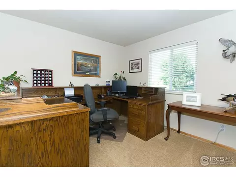 871 Durum St, Windsor, CO 80550 photo 14