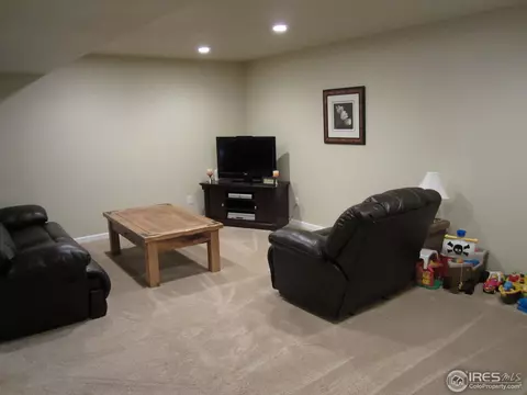 871 Durum St, Windsor, CO 80550 photo 18