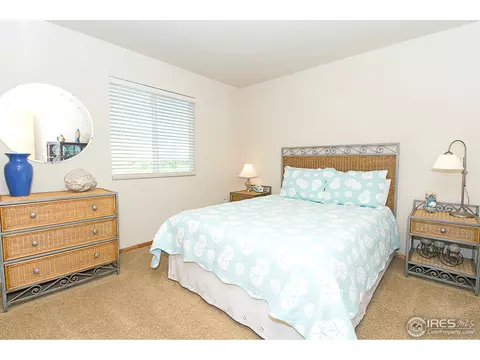 871 Durum St, Windsor, CO 80550 photo 11