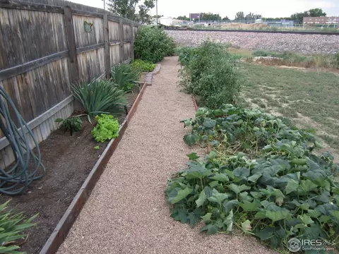 871 Durum St, Windsor, CO 80550 photo 24