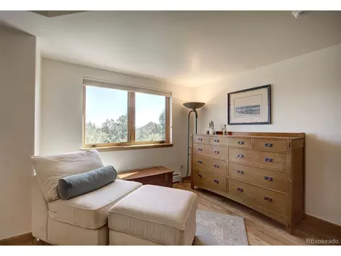 78 Double Tree Rd, Bailey, CO 80421 photo 22