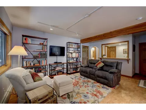 78 Double Tree Rd, Bailey, CO 80421 photo 30