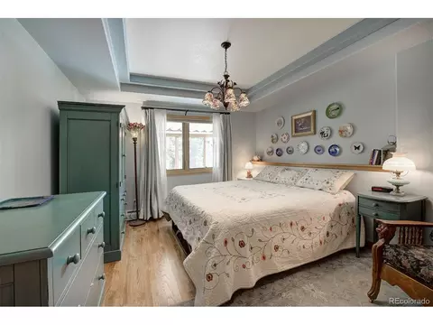 78 Double Tree Rd, Bailey, CO 80421 photo 34