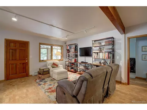 78 Double Tree Rd, Bailey, CO 80421 photo 31