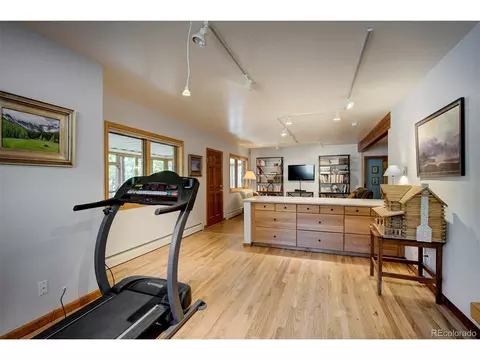 78 Double Tree Rd, Bailey, CO 80421 photo 33