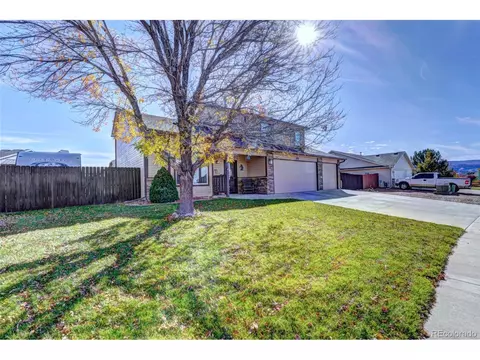 878 Elberta Dr, Fruita, CO 81521 photo 3