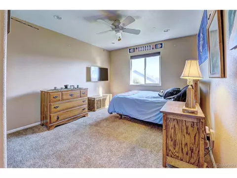 878 Elberta Dr, Fruita, CO 81521 photo 27