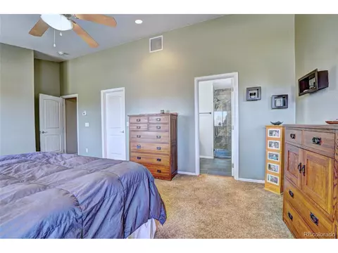 878 Elberta Dr, Fruita, CO 81521 photo 22