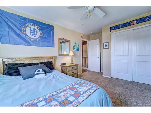 878 Elberta Dr, Fruita, CO 81521 photo 28