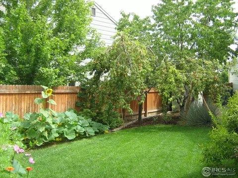 5379 Bear Ct, Frederick, CO 80504 photo 3