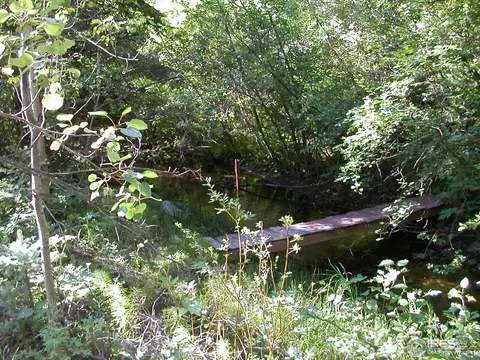 275 Streamside Dr, Glen Haven, CO 80532 photo 2