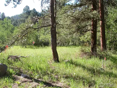 275 Streamside Dr, Glen Haven, CO 80532 photo 3