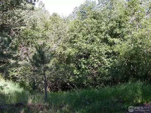 275 Streamside Dr, Glen Haven, CO 80532 photo 4