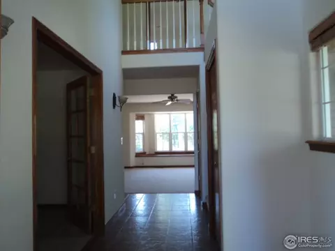 243 Cattail Bay, Windsor, CO 80550 photo 15