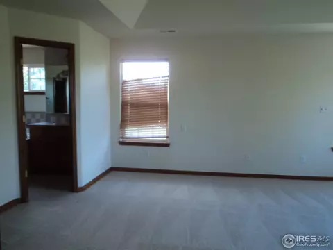 243 Cattail Bay, Windsor, CO 80550 photo 4