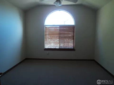 243 Cattail Bay, Windsor, CO 80550 photo 5