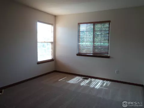 243 Cattail Bay, Windsor, CO 80550 photo 6
