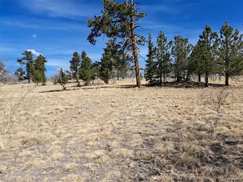 593 Pinto Trl, Como, CO 80432 photo 9