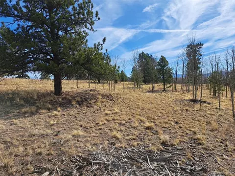 593 Pinto Trl, Como, CO 80432 photo 7