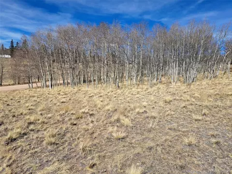 593 Pinto Trl, Como, CO 80432 photo 10