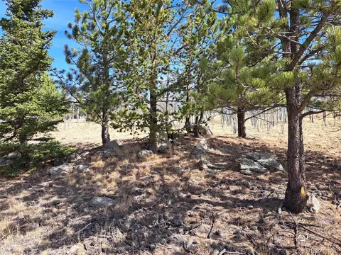 593 Pinto Trl, Como, CO 80432 photo 8