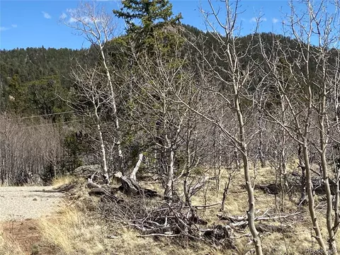 65 Folsom Ln, Como, CO 80456 photo 11