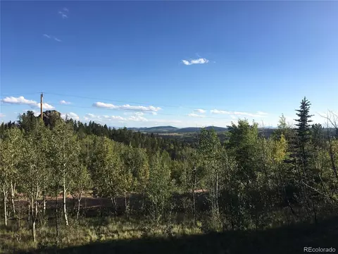 65 Folsom Ln, Como, CO 80456 photo 6