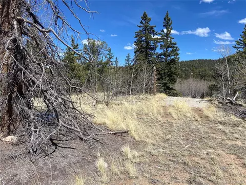 65 Folsom Ln, Como, CO 80456 photo 10