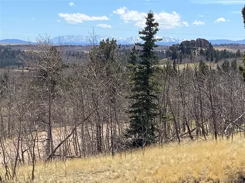 65 Folsom Ln, Como, CO 80456 photo 2