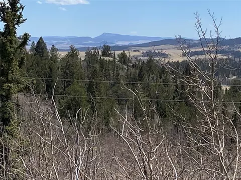 65 Folsom Ln, Como, CO 80456 photo 13