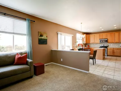 7402 E 129th Pl, Thornton, CO 80602 photo 9