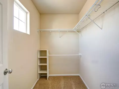 7402 E 129th Pl, Thornton, CO 80602 photo 15