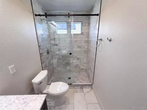 Bath - 19036 Randolph Pl, Denver, CO 80249 photo 8 of 8