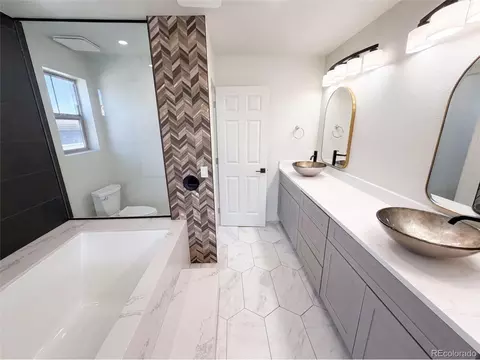 Bath - 19036 Randolph Pl, Denver, CO 80249 photo 1 of 8
