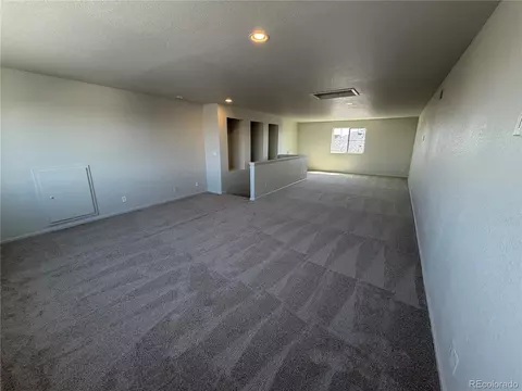 Living - 19036 Randolph Pl, Denver, CO 80249 photo 10 of 11