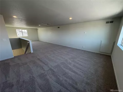 Other - 19036 Randolph Pl, Denver, CO 80249 photo 3 of 5