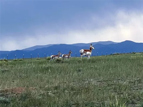 75 W Winds Rd, Walsenburg, CO 81089 photo 9