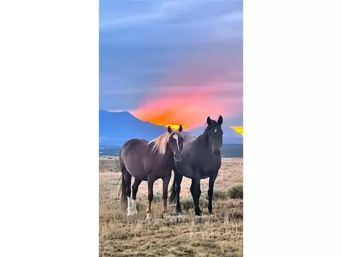 75 W Winds Rd, Walsenburg, CO 81089 photo 8