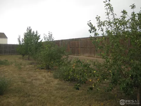 3209 Pheasant St, Evans, CO 80620 photo 22